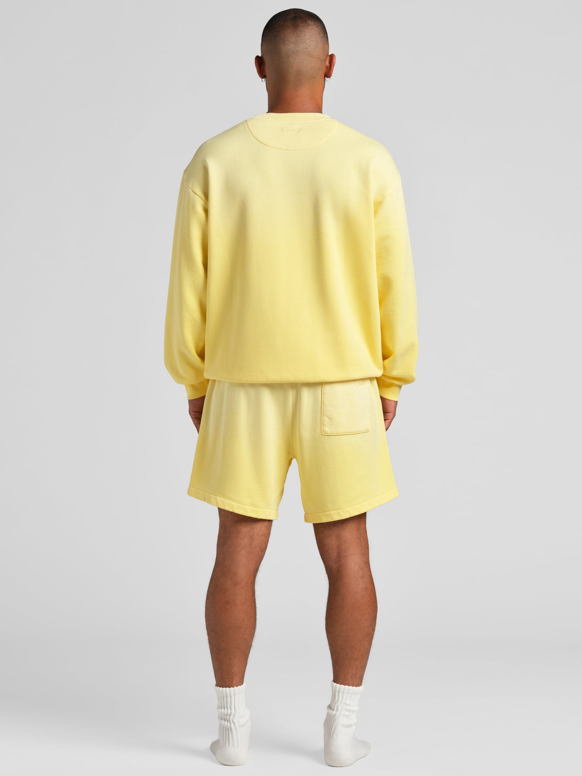 Sunwashed Shorts